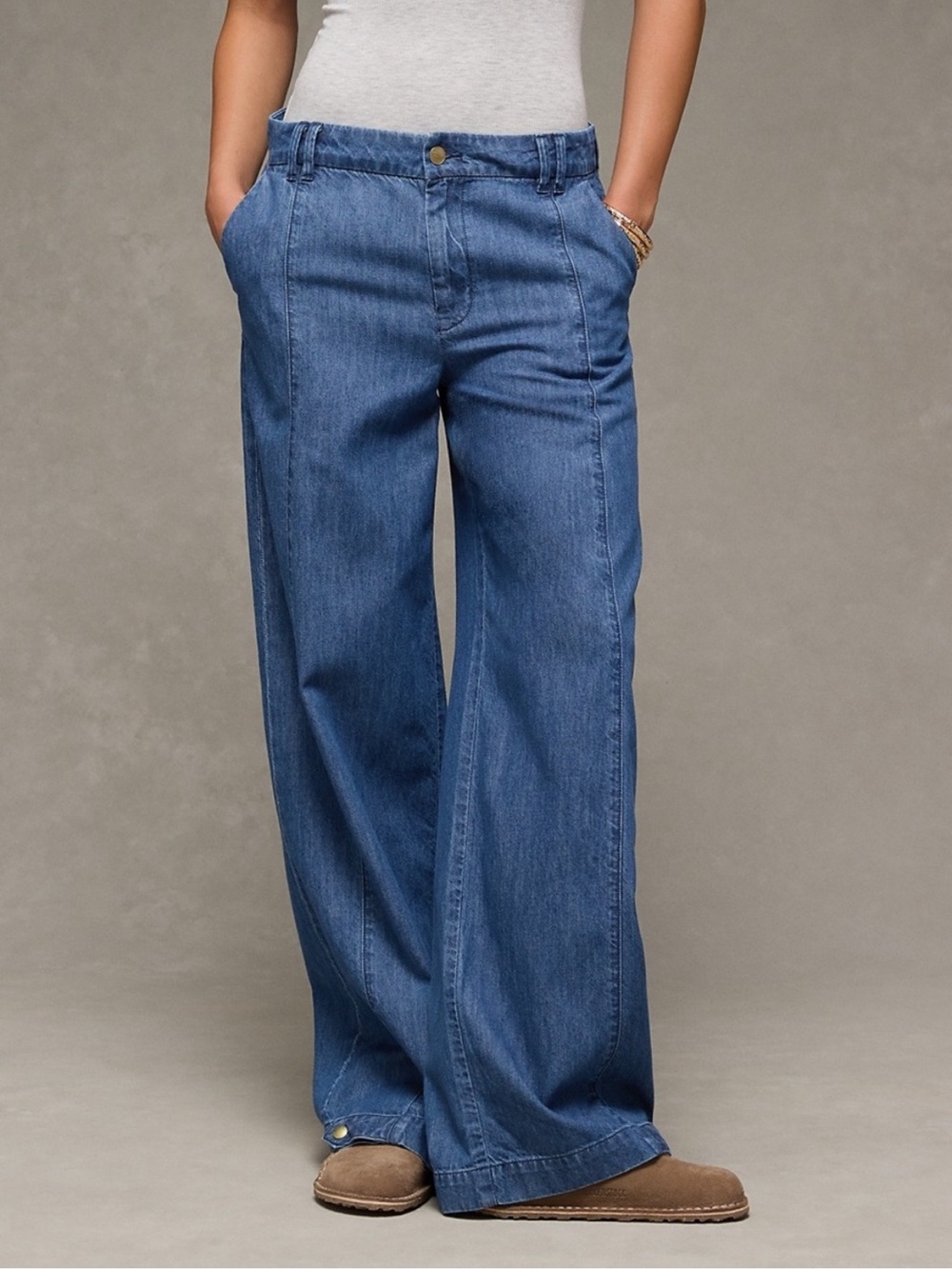 American Eagle Baggy Wide-Leg Trouser